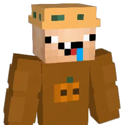 A_ns Minecraft avatar bust