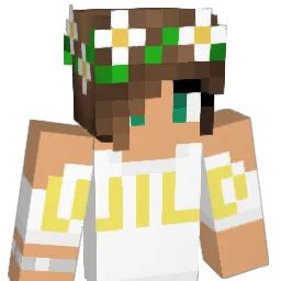 A_w_y Minecraft avatar bust