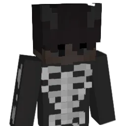 Aa_Kuba Minecraft avatar bust