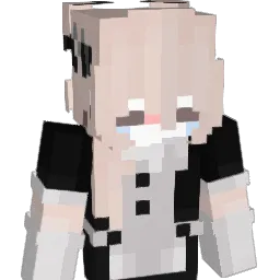 Aaa_JANS Minecraft avatar bust