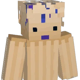 AaronErin11 Minecraft avatar bust