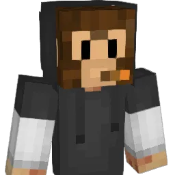 AaronSchueni Minecraft avatar bust