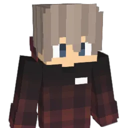 AbeWashington Minecraft avatar bust