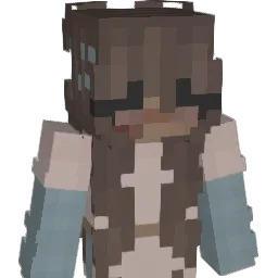 Acasa17 Minecraft avatar bust