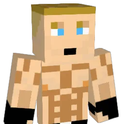 Acceleratedx Minecraft avatar bust