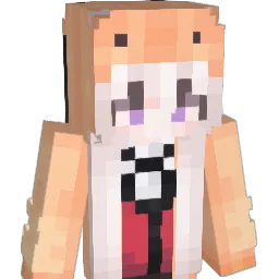 Acediaa_ Minecraft avatar bust