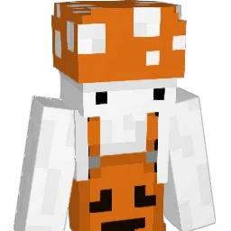 Aceplays_ Minecraft avatar bust