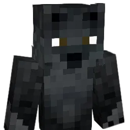 Acer1996 Minecraft avatar bust