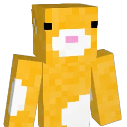 Aces1202 Minecraft avatar bust