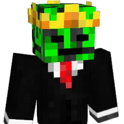 Acidic_09 Minecraft avatar bust
