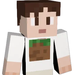 Acionn Minecraft avatar bust