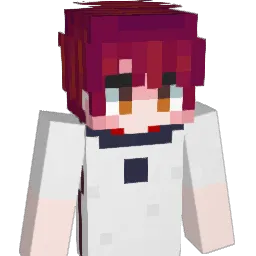 AcousticGuitars Minecraft avatar bust