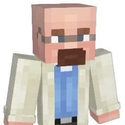 AcousticKitty Minecraft avatar bust