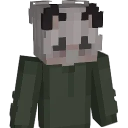 Acrohh's Minecraft skin