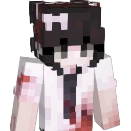 Adaquest Minecraft avatar bust