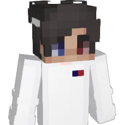 Adcoin Minecraft avatar bust