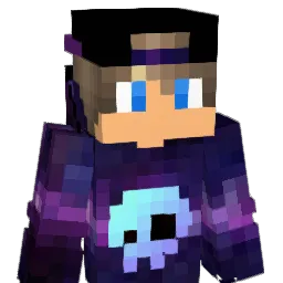 AdinDzyn4 Minecraft avatar bust