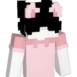 Admin809's Minecraft skin