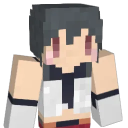 AdmiralDolphin2 Minecraft avatar bust