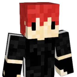 Adsewse2015 Minecraft avatar bust