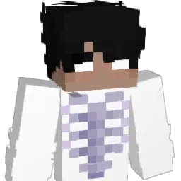 Aecony Minecraft avatar bust