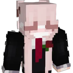 Aein_ Minecraft avatar bust
