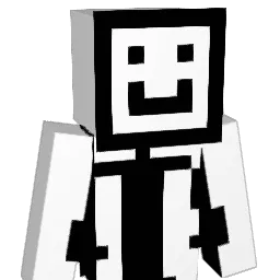 Aerials204 Minecraft avatar bust