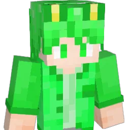 Aerl_ Minecraft avatar bust