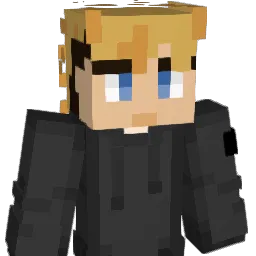 Afschieten Minecraft avatar bust