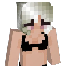 Aga_chang Minecraft avatar bust