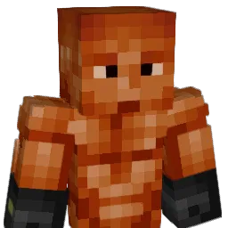Agent00Dubs Minecraft avatar bust