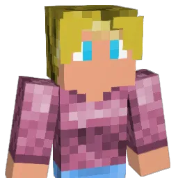 Agent2cookies Minecraft avatar bust