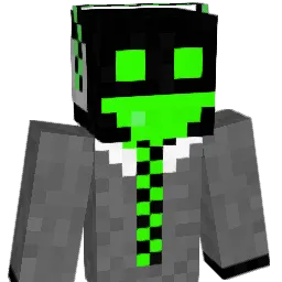 Agl1431 Minecraft avatar bust