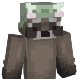 Aidaannnn Minecraft avatar bust