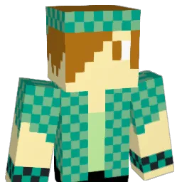 Aidantop47 Minecraft avatar bust