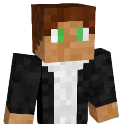 AidasLTU Minecraft avatar bust