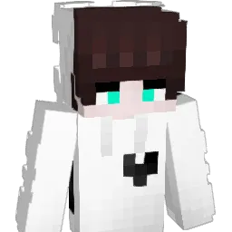 Aightbet66 Minecraft avatar bust