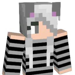 Aiiden13 Minecraft avatar bust