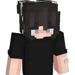 Aiidenly Minecraft avatar bust