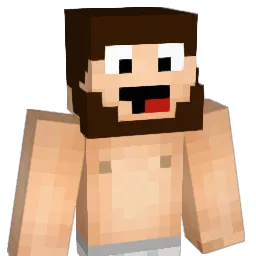 Aim250k Minecraft avatar bust