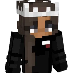 AimEducation Minecraft avatar bust