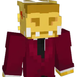 AimedRaindrop Minecraft avatar bust