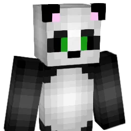 AimeeRR Minecraft avatar bust