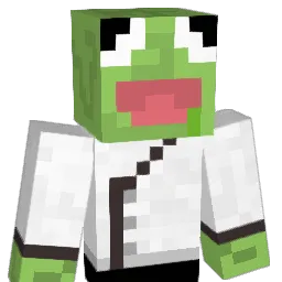 AimlessRobin Minecraft avatar bust
