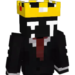 AircraftCarrier5 Minecraft avatar bust