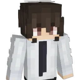 Airrin_n Minecraft avatar bust