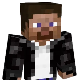 AjniNbackwards Minecraft avatar bust