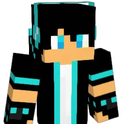 Akaash010 Minecraft avatar bust
