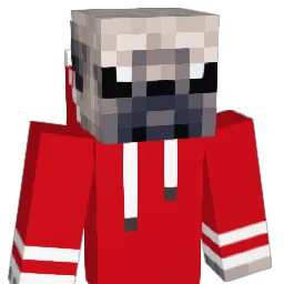 Akalife Minecraft avatar bust