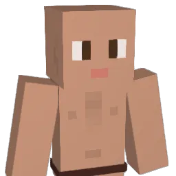 Aki_2017 Minecraft avatar bust